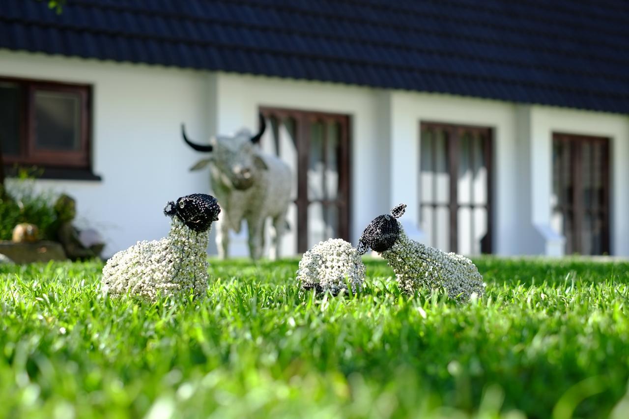 Kilmorna Manor Guest House Shoemanskloof Exterior foto